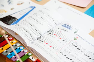 乐鱼体育官网优惠-中小学体育课安全教育实施现状研究，体育课堂安全背景下的小学体育课现状